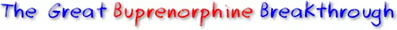 The Great Burenorphine Breakthrough banner